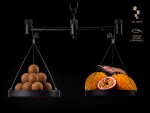 Delphin Vyvážené boilies BreaX/PassionKRILL Krill-Mango 100g - 16mm,Delphin Vyvážené boilies BreaX/PassionKRILL Krill-Mango 100g - 16mm