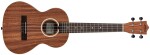 Lanikai LU21-T