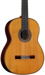 Cordoba C10 CD W/C