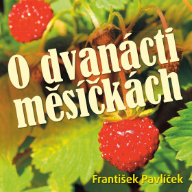 O dvanácti měsíčkách - Božena Němcová - audiokniha