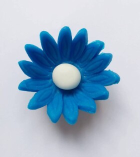 Dortisimo Cukrová sedmikráska malá modrá (25 ks)