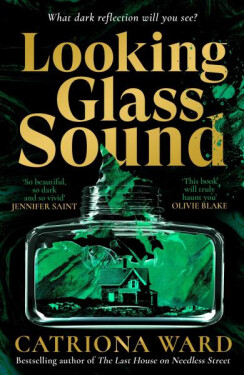 Looking Glass Sound - Catriona Ward