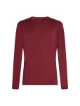 Pánské merino tričko s dlouhým rukávem ICEBREAKER Mens 200 Oasis LS Crewe, Port velikost: XL