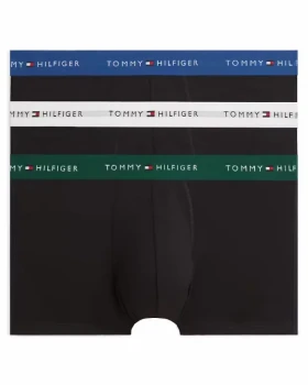 Pánské boxery Tommy Hilfiger UM0UM03890 0VU