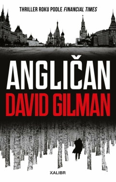 Angličan (poškozená) - David Gilman