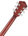 Ibanez GB10EM Antique Amber