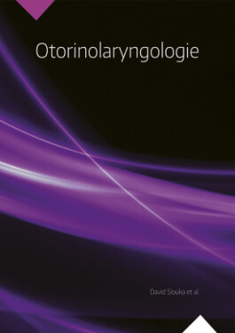 Otorinolaryngologie - David Slouka - e-kniha