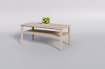 ARTEN (NANO Systems s.r.o.) Bukový konferenční stolek TALO-STL1 120x60 (Bezbarvý lak)