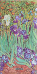 2024 DP 12 / Van Gogh’s Irises / SLIM / HOR