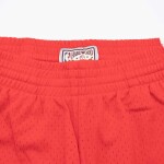 Mitchell & Ness Pánské kraťasy Philadelphia 76ers NBA 1996-97 Swingman Shorts Velikost: L