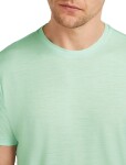 ICEBREAKER Mens Mer 150 Tech Lite III SS Tee, Mint velikost: S