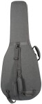 Tanglewood TW40-12 SD AN E Pickguard