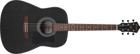 Ibanez V54NJP Weathered Black