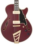D'Angelico Deluxe SS Trans Wine