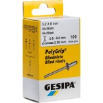 Gesipa 1433909 slepý nýt (Ø x d) 3.2 mm x 8 mm nerezová ocel nerezová ocel nerezová ocel PolyGrip® 1000 ks