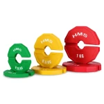 HMS TSN50 Progresivní přídavné kotouče 2 x 0.5 kg (5907695511697)