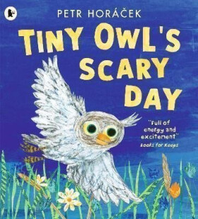 Tiny Owl´s Scary Day - Petr Horacek