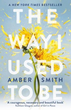 The Way I Used to Be - Amber Smith