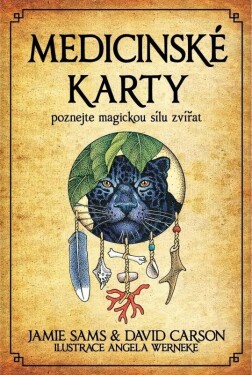 Medicinské karty (Kniha 52 karet) David Carson