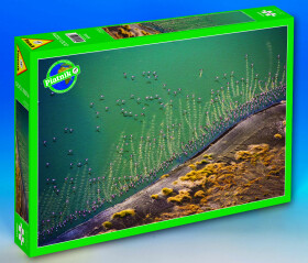 Puzzle Letíme na jih (plameňáci) 1000 dílků