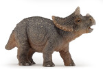 Triceratops mládě