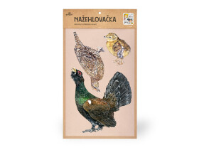 Nažehlovačka L 017 - Tetřeví rodinka