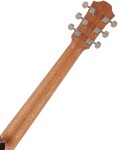 Furch Blue Plus D-CM