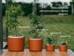 Samozavlažovací velkoobjemová nádoba Berberis 55