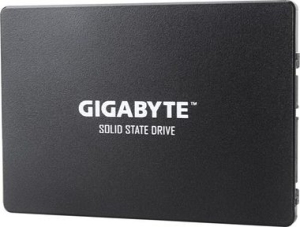 Gigabyte 1TB, GP-GSTFS31100TNTD