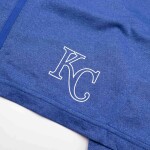 Nike Pánské kraťasy Kansas City Royals MLB 2024 Authentic Practice Dri-FIT Shorts Velikost: S