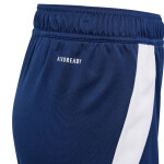 Šortky adidas Tiro 24 Training Jr IS1003 164 cm