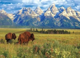EUROGRAPHICS Puzzle Národní park Grand Teton