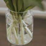 Eulenschnitt Skleněná váza Floral Clear 14 cm, čirá barva, sklo