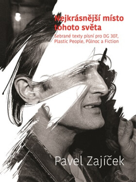 Nejkrásnější místo tohoto světa - Sebrané texty pro DG 307, Plastic People, Půlnoc a Fiction - Pavel Zajíček