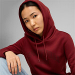 Puma Ess+ Logo LAB Hoodie FL W 682987 13 m