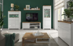 ARTEN (NANO Systems s.r.o.) Vitrína VIGO-1D1W1S (Bílý lesk) VITRINA-VIGO-1D1W1S