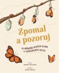 Zpomal pozoruj Rachel Williams