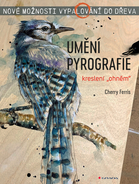 Umění pyrografie - Ferris Cherry