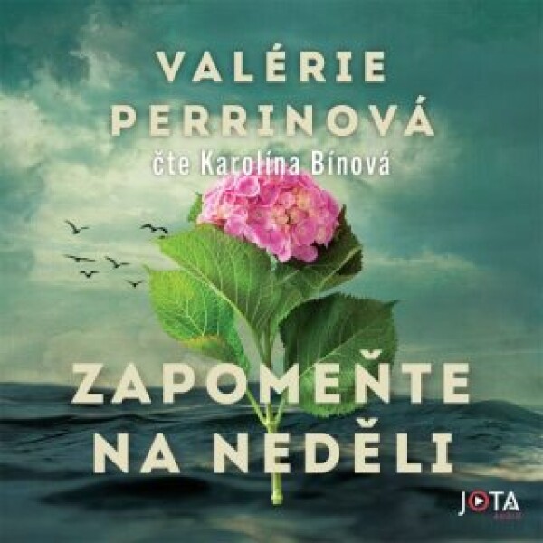 Zapomeňte na neděli - Valérie Perrinová - audiokniha