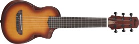 Ibanez AUP10N Light Brown Sunburst