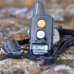 Dog Trace D-control professional 1000 mini oranžová