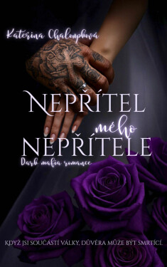 Nepřítel mého nepřítele - Kateřina Chaloupková