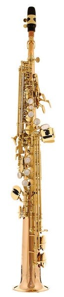 Yanagisawa S-WO20