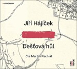 Dešťová hůl - CDmp3 (Čte Martin Pechlát) - Jiří Hájíček