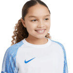 Tričko Nike Df Academy Jsy SS Jr DH8369 102 m