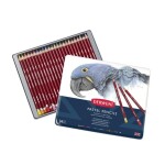Derwent Pastel Pencil 32992 24 ks