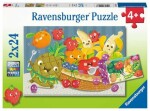 Ravensburger Ovoce