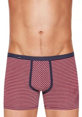 Pánské boxerky BodyandSoul 10/1-13/206Z FABIO