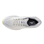Běžecké boty Mizuno WAVE SKYRISE 7 J1GC260902 Velikost obuvi v EU: 42