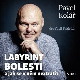 Labyrint bolesti - Pavel Kolář - audiokniha